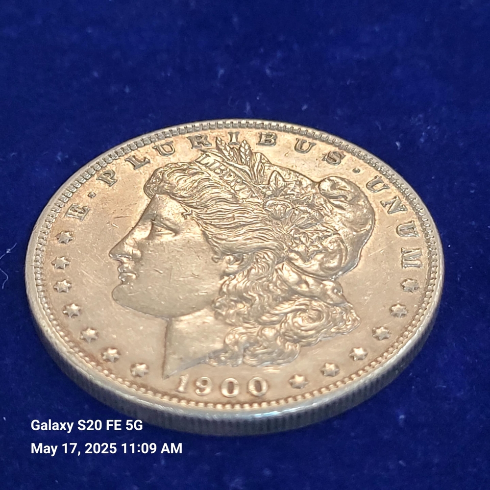 Circulated 1900 Philadelphia Morgan Silver Dollar